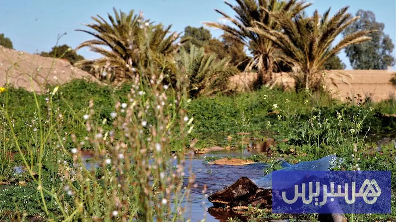 توقعات الطقس الليلة في المغرب: كيف ستكون الأجواء؟